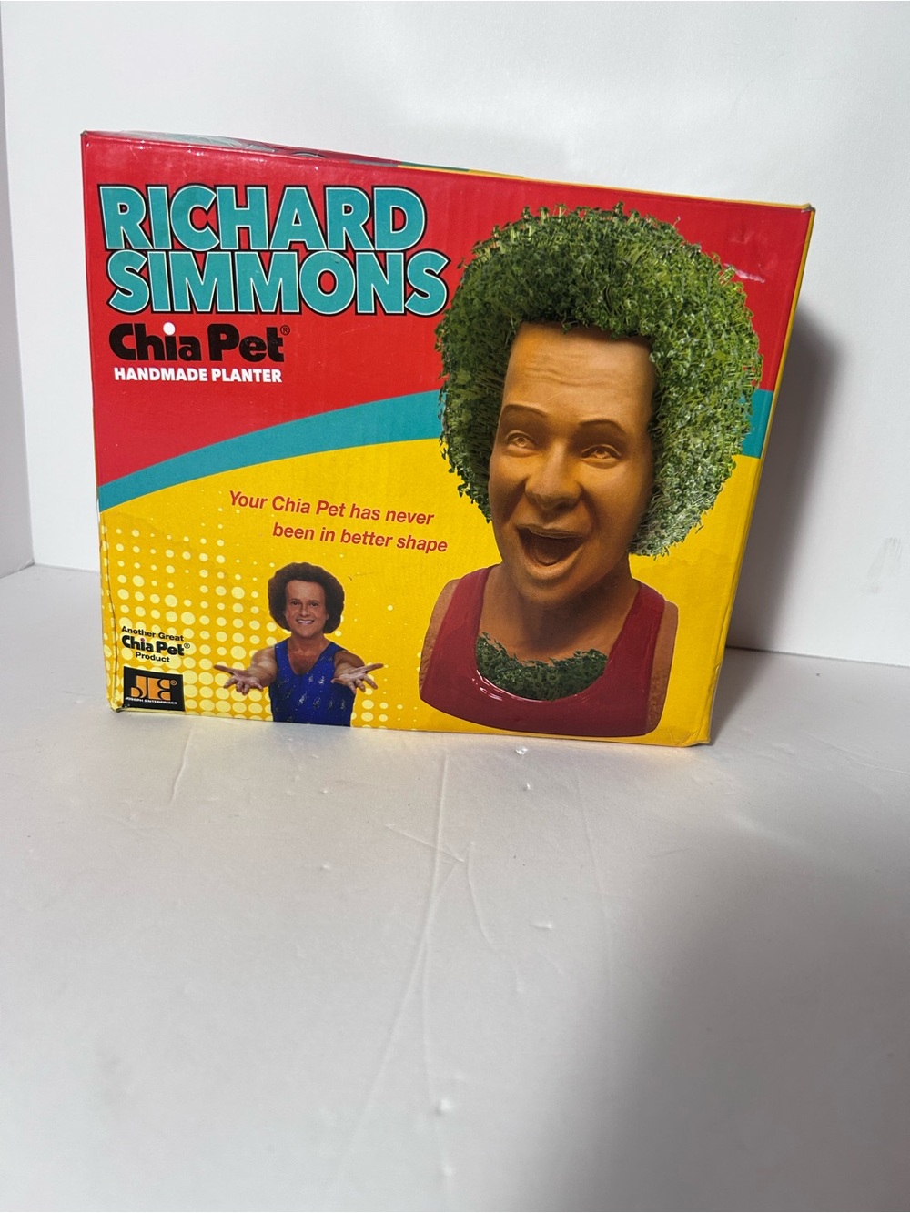 Richard Simmons Chia Pet Handmade Planter - Red and Yellow Packaging